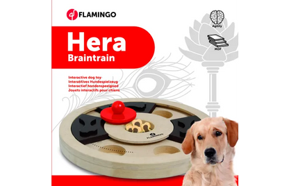 Brain train Hera