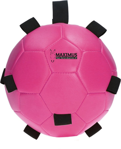 Maximus Fun playball