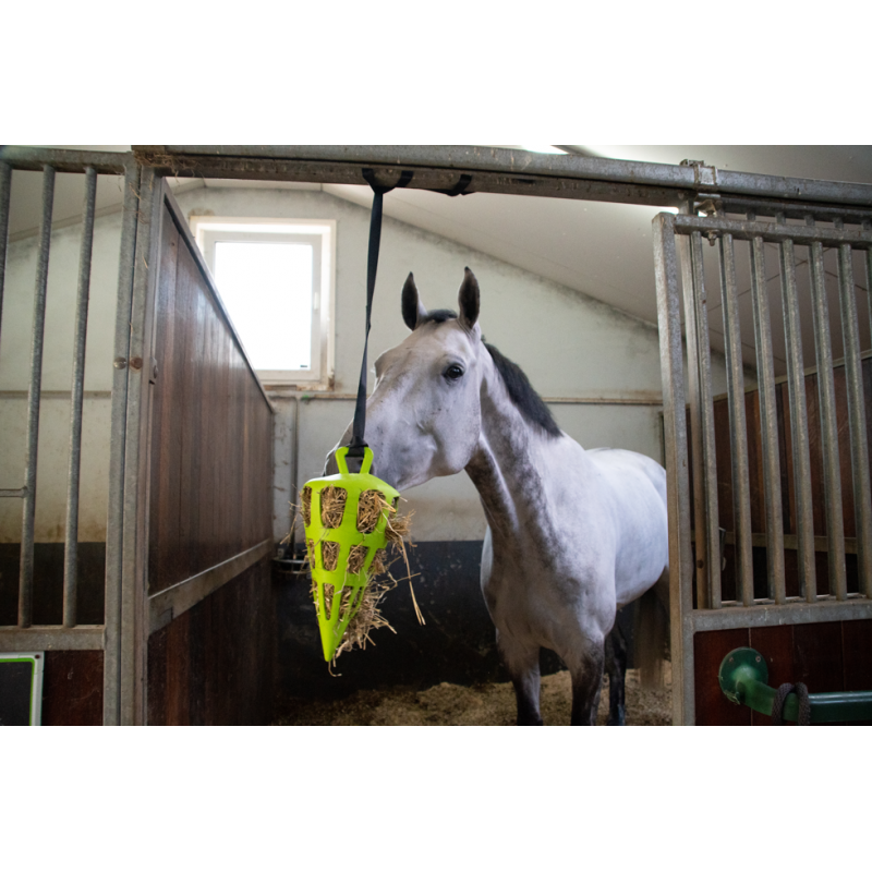 Hay slowfeeder fun and flex wortel groen