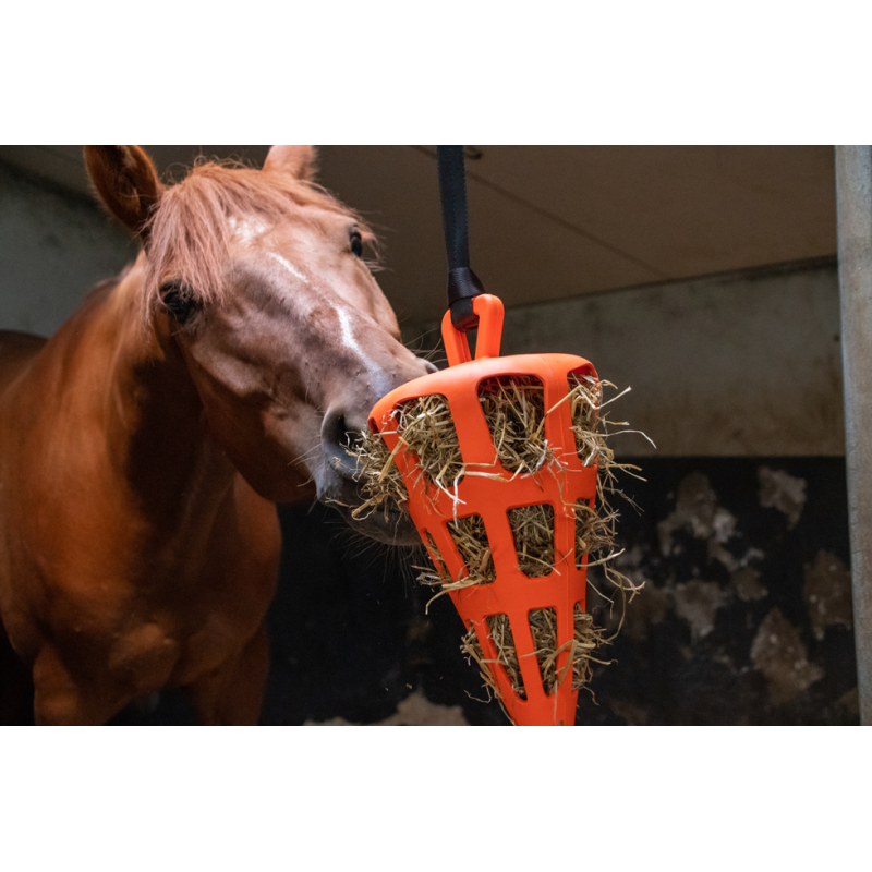 Hay slowfeeder fun and flex wortel oranje