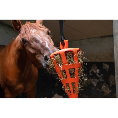 Hay slowfeeder fun and flex wortel oranje