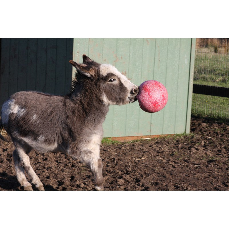 Jolly ball paard 25cm rood