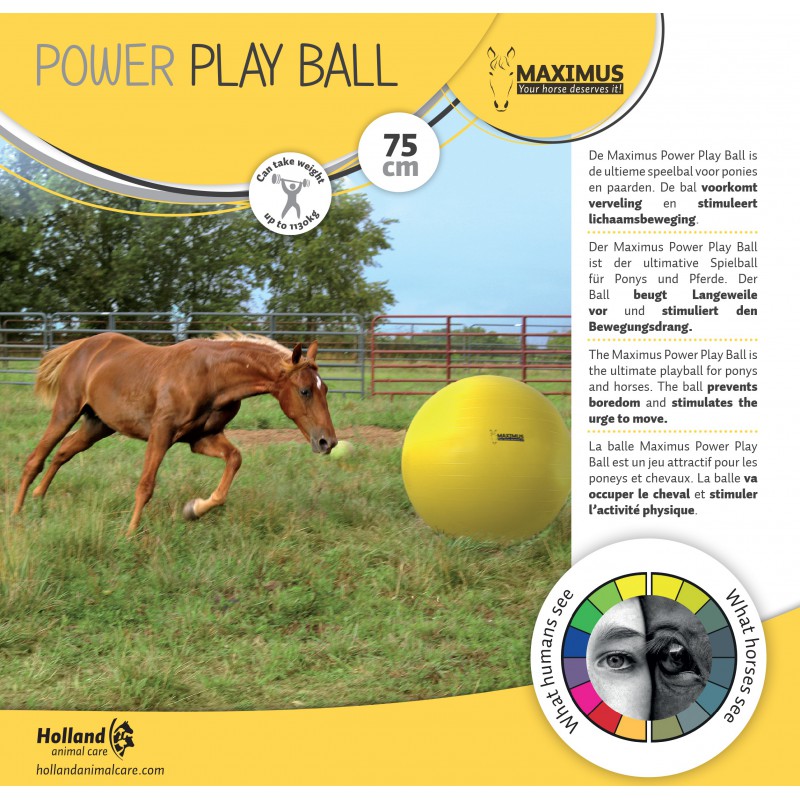 Paardenvoetbal power play ball 75cm